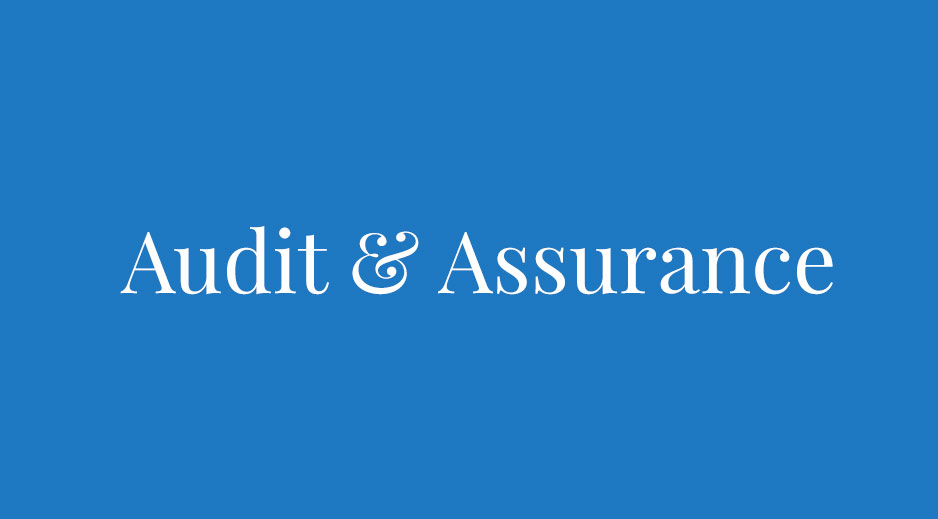 Audit-Assurance
